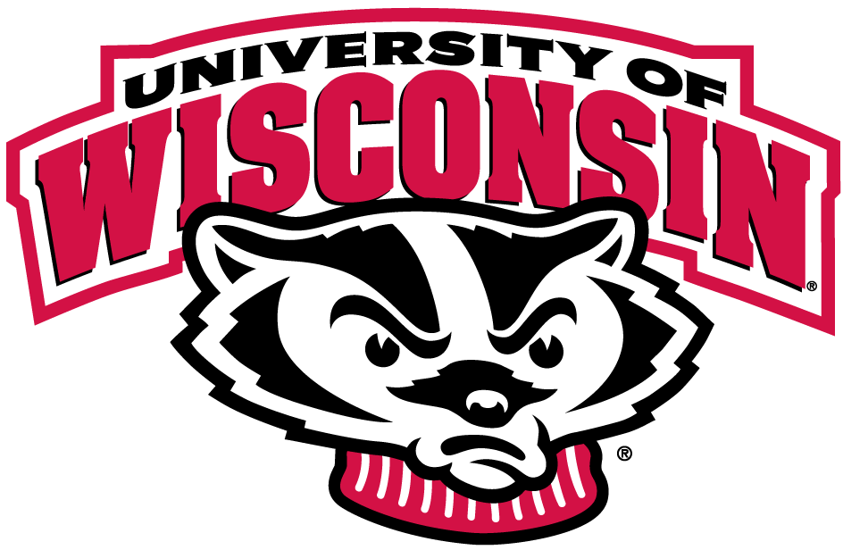 Wisconsin Badgers 2002-Pres Alternate Logo diy DTF decal sticker...